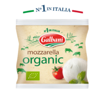 Mozzarella Bio Galbani 125g - Galbani