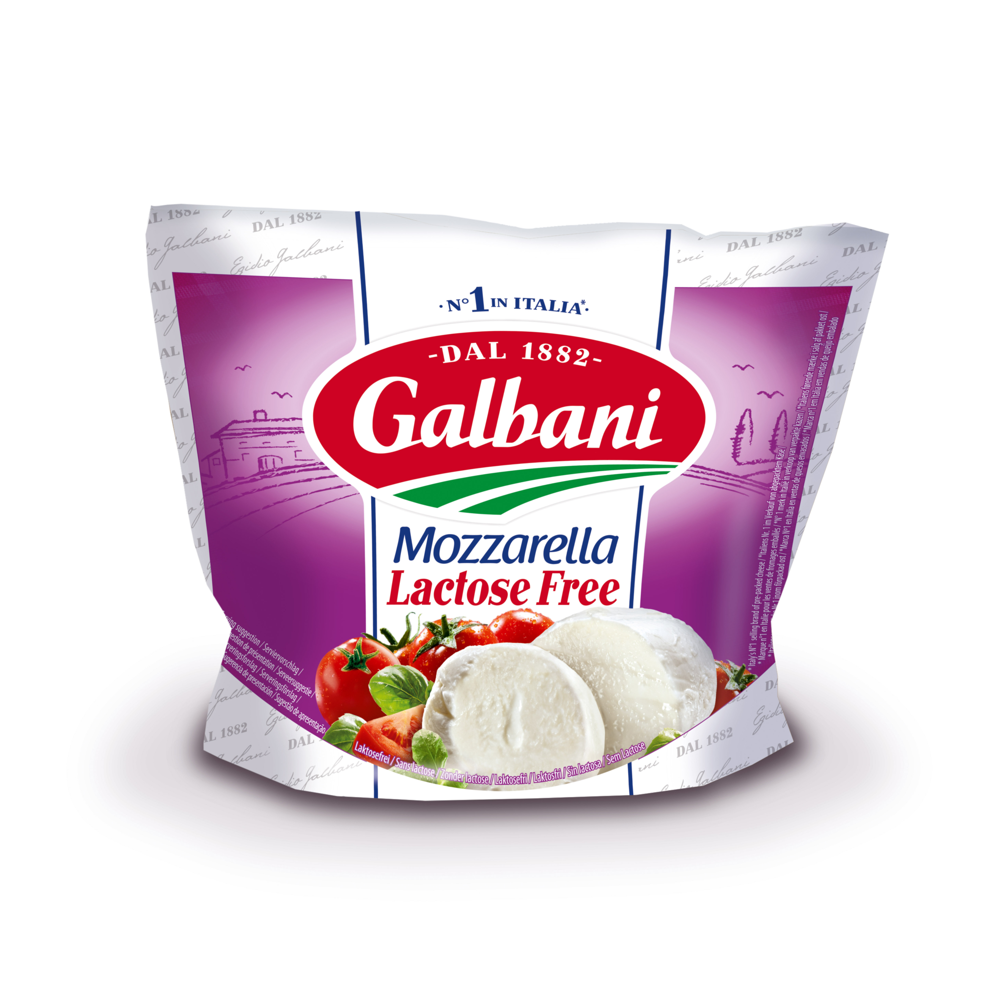 Mozzarella Lactose Free Galbani 100g | Galbani