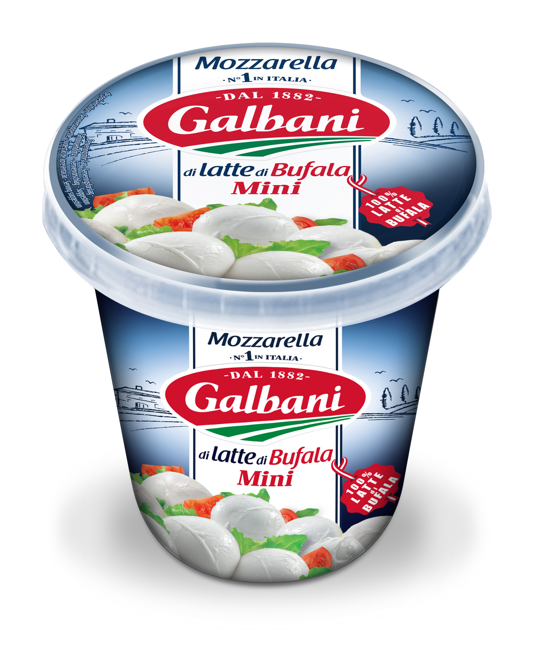 Mozzarella Mini Mozzarella Mini